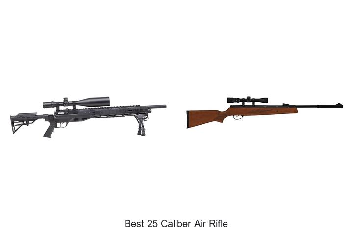 Top 12 Best 25 Caliber Air Rifle That Will Blow Your Mind