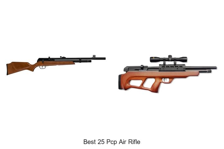 best 25 pcp air rifle