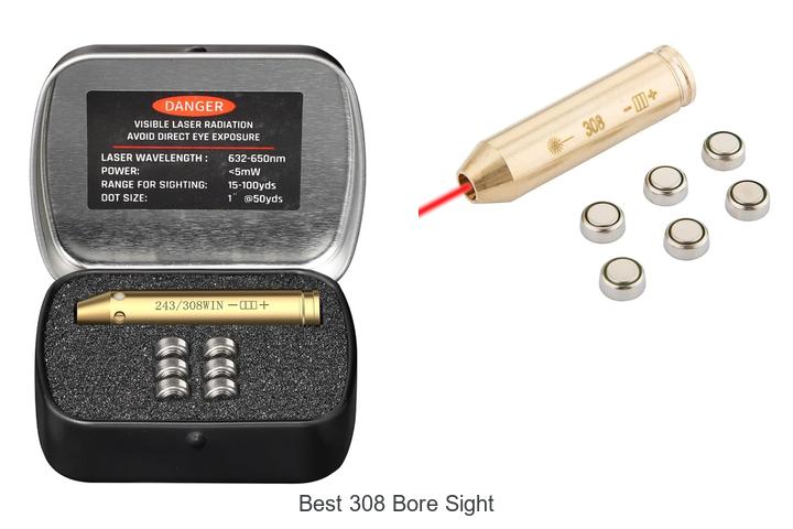 best 308 bore sight