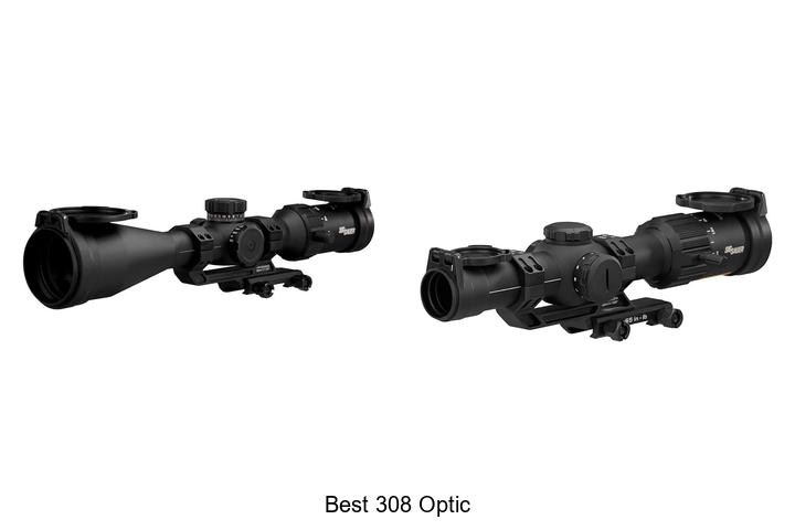 best 308 optic