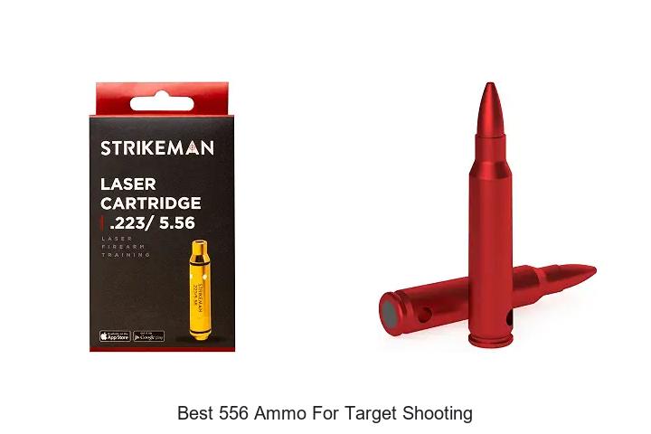 best 556 ammo for target shooting