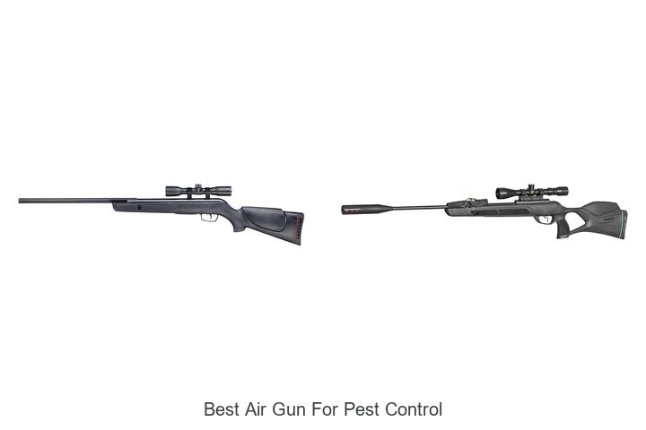 Top 12 Best Air Gun For Pest Control You Can’t Miss!