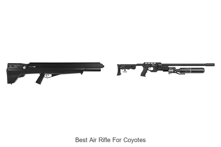 best air rifle for coyotes