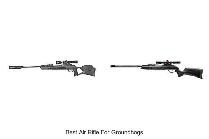 Top 12 Best Air Rifle For Groundhogs That You Need Now