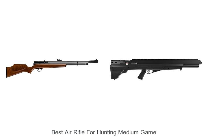 Top 12 Best Air Rifle For Hunting Medium Game Revealed!