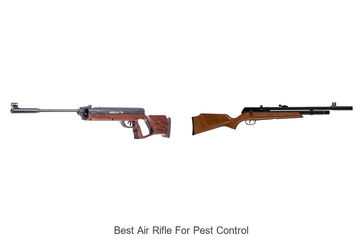 best air rifle for pest control