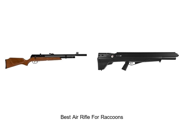 best air rifle for raccoons