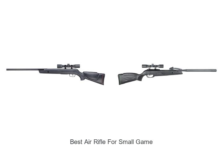 Top 12 Best Air Rifle For Small Game You Can’t Miss