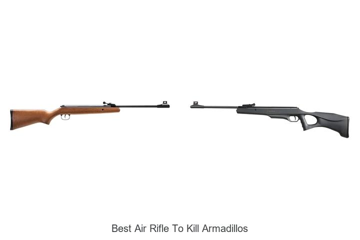 best air rifle to kill armadillos