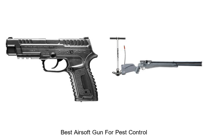 Top 12 Best Airsoft Gun for Pest Control You Must Try!