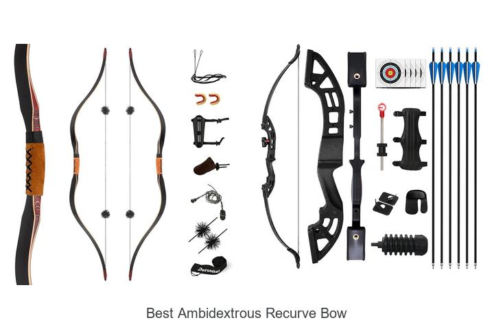 Top 12 Best Ambidextrous Recurve Bow You Must Have Now