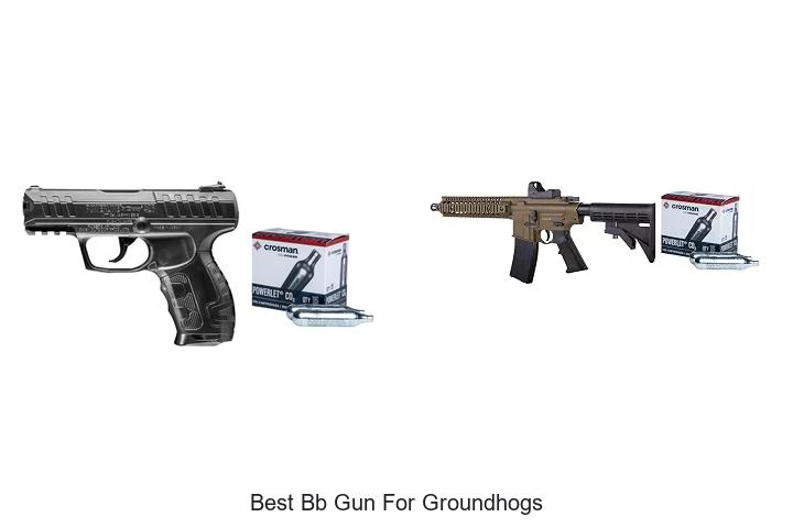 Top 12 Best BB Gun for Groundhogs That Hunters Swear By