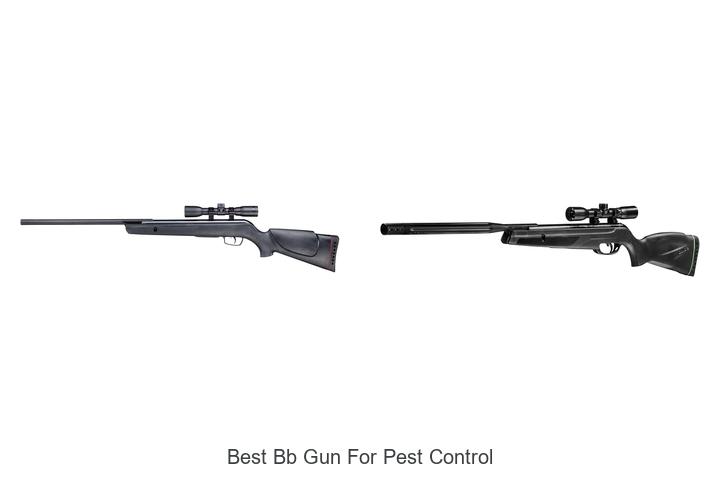 Top 12 Best BB Gun For Pest Control That Actually Work!