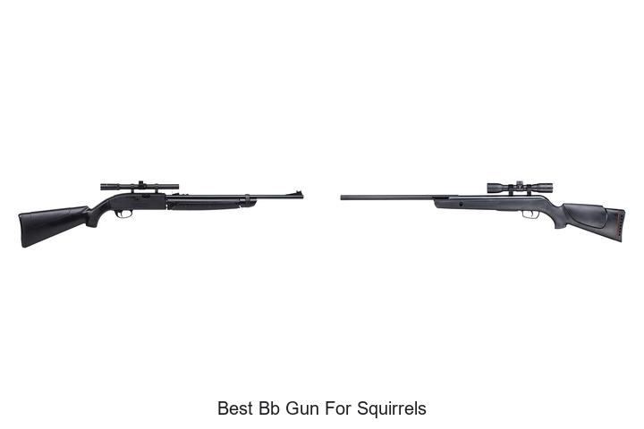 Top 12 Best BB Gun For Squirrels That Hunters Swear By