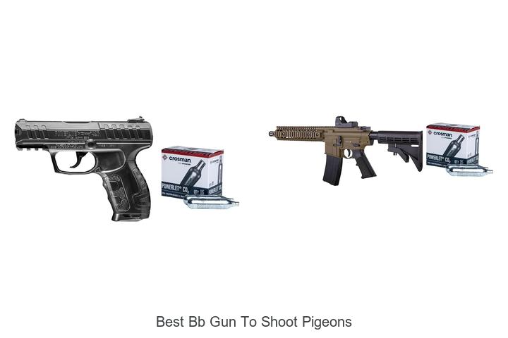 Top 12 Best BB Gun to Shoot Pigeons You Can’t Miss