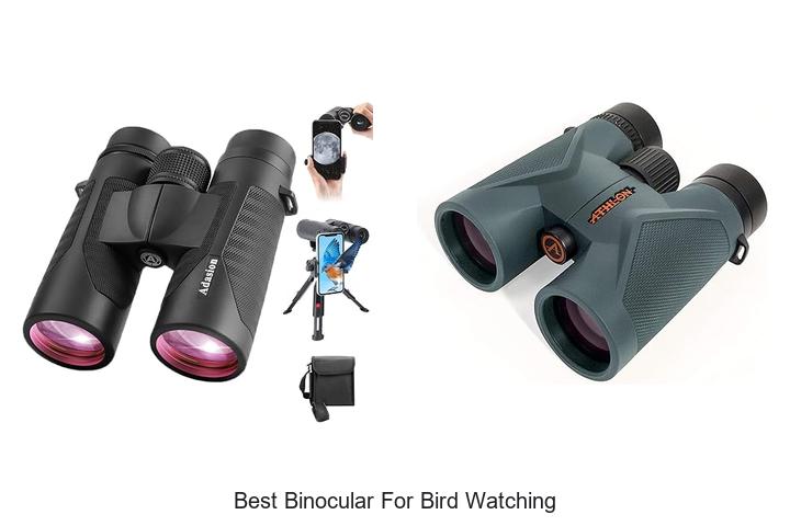 best binocular for bird watching