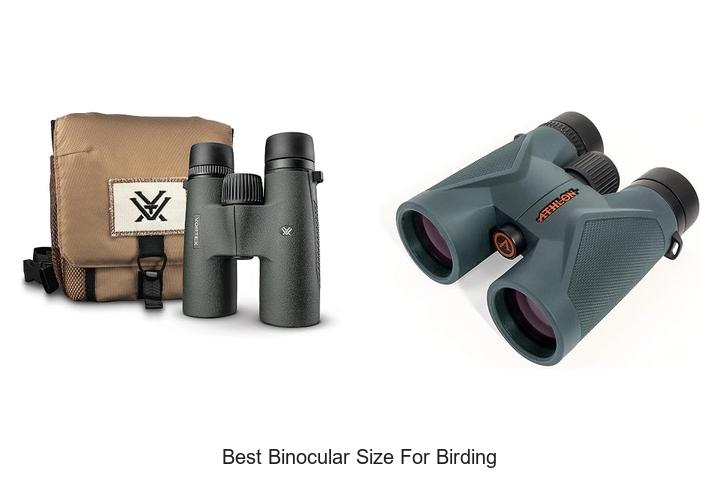 best binocular size for birding