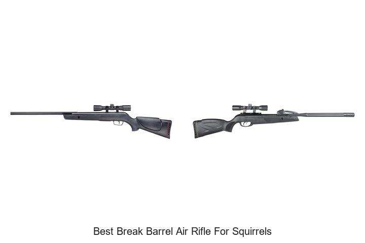 Top 12 Best Break Barrel Air Rifle for Squirrels Reviewed!
