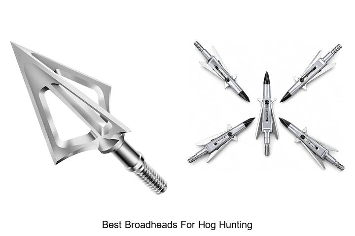 best broadheads for hog hunting