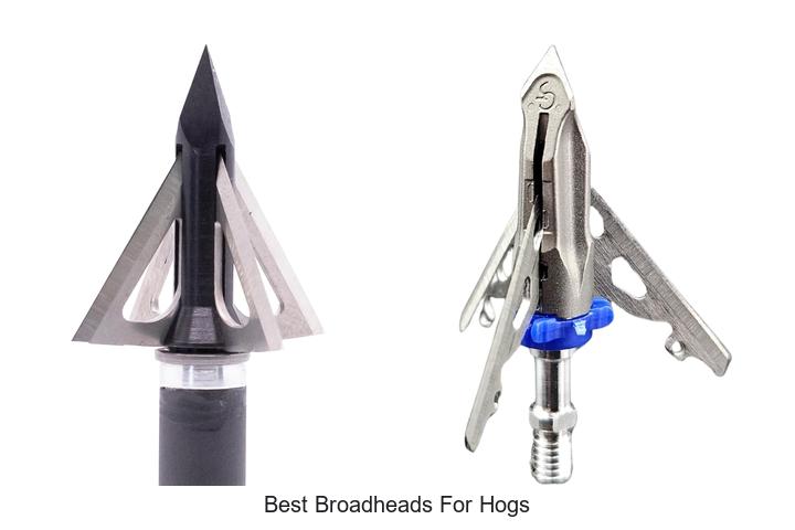 best broadheads for hogs