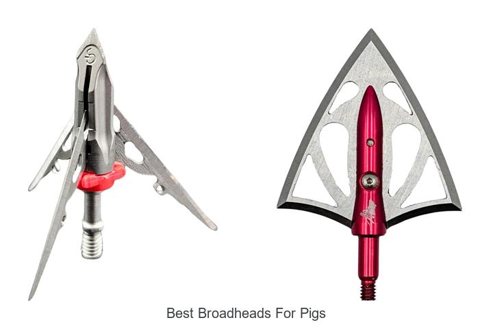 best broadheads for pigs