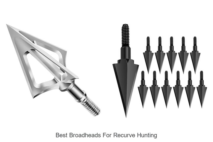 best broadheads for recurve hunting