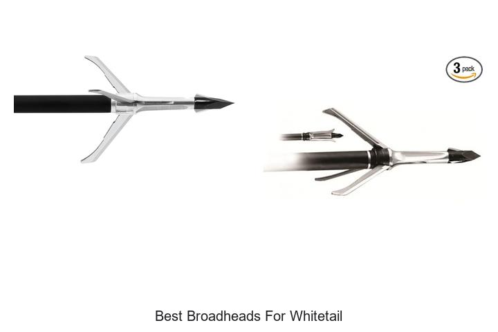 best broadheads for whitetail