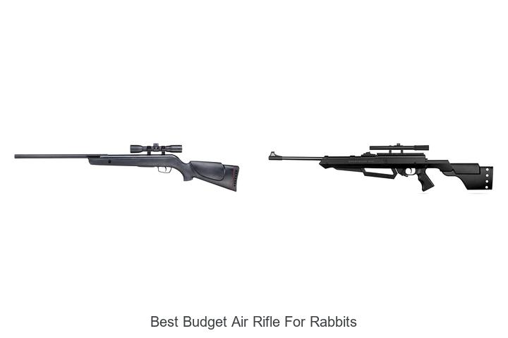 Top 12 Best Budget Air Rifle For Rabbits You Can’t Miss