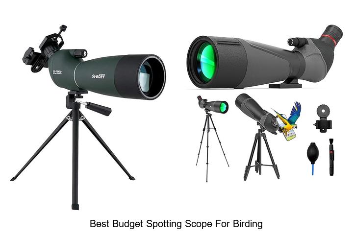 best budget spotting scope for birding