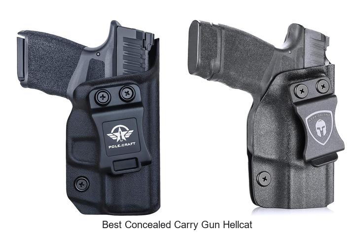best concealed carry gun hellcat
