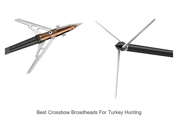 Top 12 Best Crossbow Broadheads for Turkey Hunting Revealed!