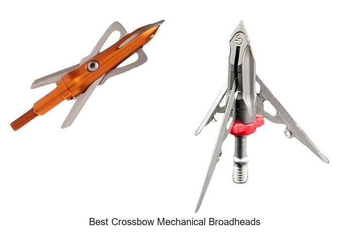 Top 12 Best Crossbow Mechanical Broadheads You Need Now