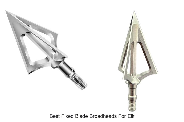 best fixed blade broadheads for elk