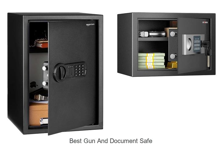 best gun and document safe