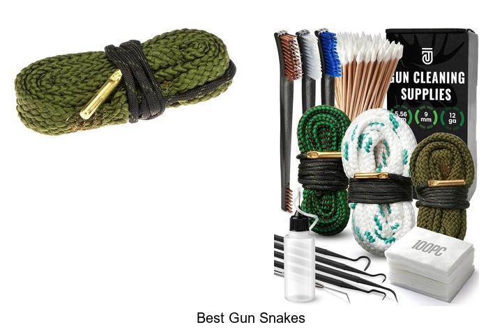 Top 12 Best Gun Snakes That Will Blow Your Mind