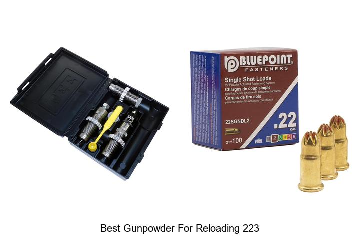 Top 12 Best Gunpowder for Reloading 223 You Need Now