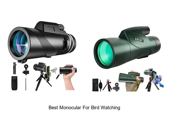 best monocular for bird watching