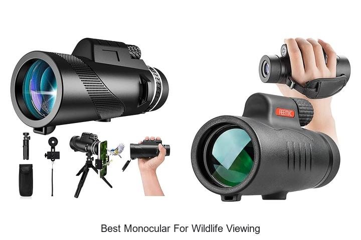 best monocular for wildlife viewing