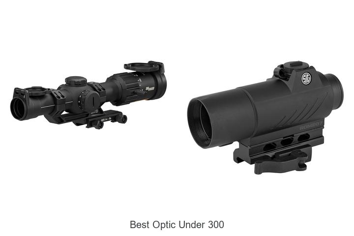 best optic under 300