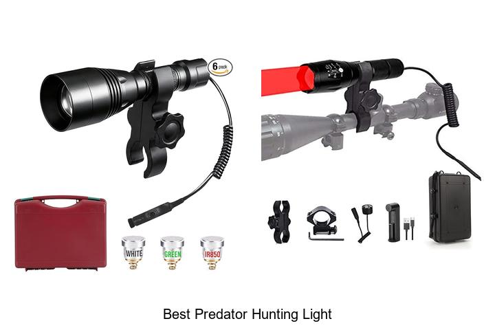 best predator hunting light