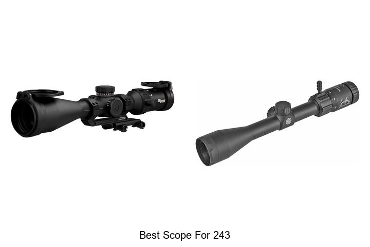 best scope for 243