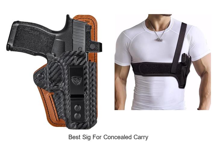 best sig for concealed carry