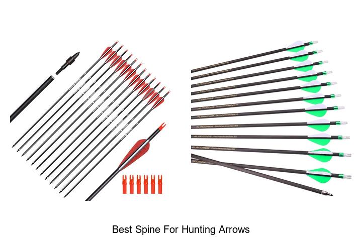 best spine for hunting arrows