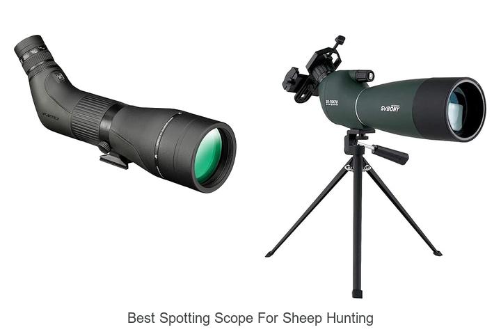 best spotting scope for sheep hunting