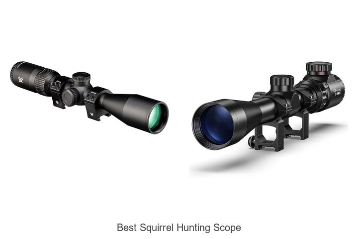 best squirrel hunting scope