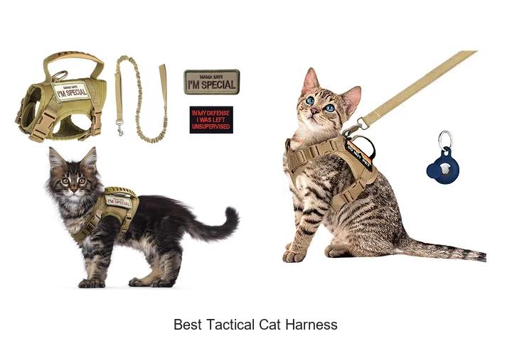 best tactical cat harness