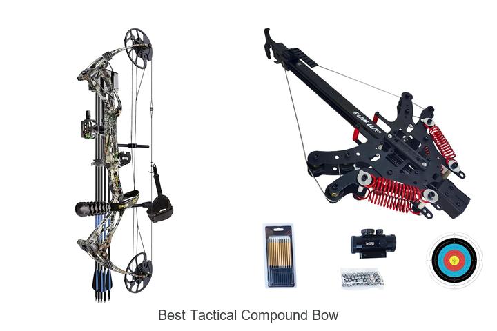 Top 12 Best Tactical Compound Bow That Hunters Swear By