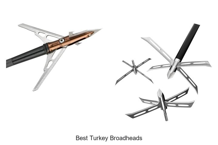 Top 12 Best Turkey Broadheads That Will Boost Your Hunt