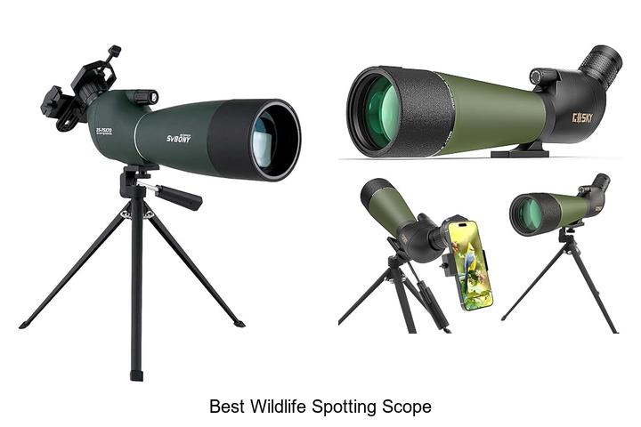 best wildlife spotting scope