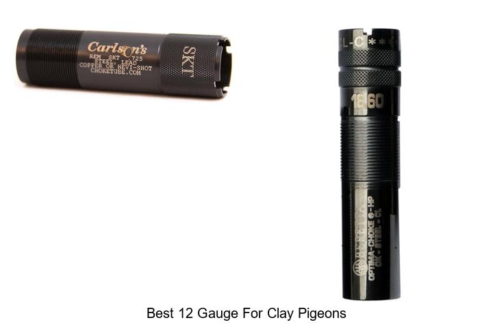 best 12 gauge for clay pigeons